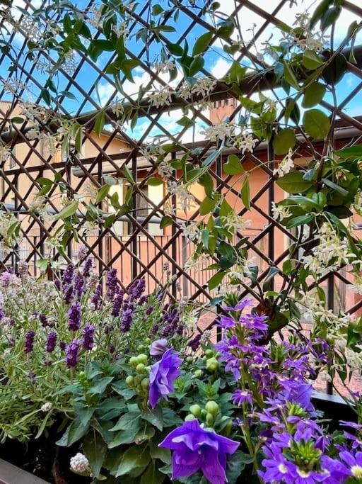 La Casa Di Nina - Appartamento 1 Valeggio sul Mincio Eksteriør bilde